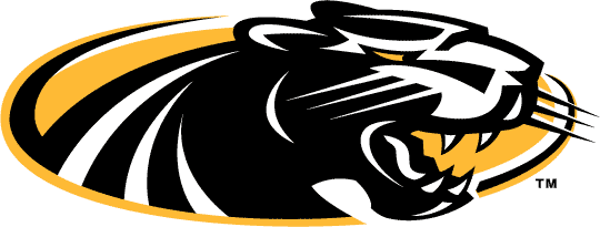 Wisconsin-Milwaukee Panthers 2002-2010 Alternate Logo iron on transfers for fabric